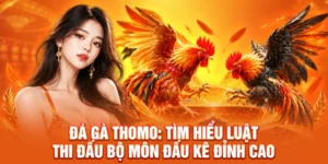 Đá Gà Thomo: Tìm Hiểu Luật Thi Đấu Bộ Môn Đấu Kê Đỉnh Cao